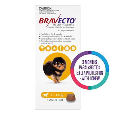 Bravecto chew