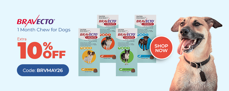 Bravecto Sale
