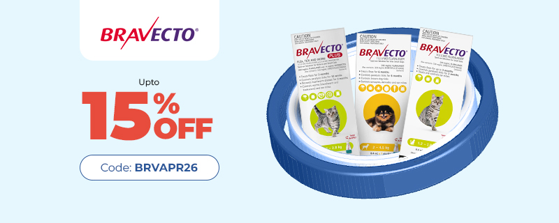 Bravecto Sale