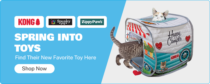 Cat Toys