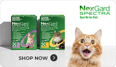 nexgard spectra cat