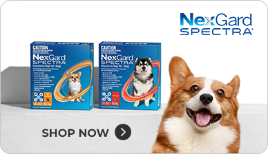 Nexgard Spectra