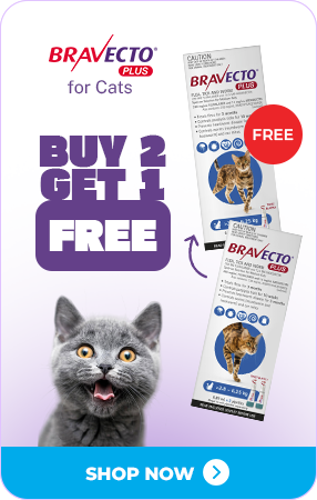 Bravecto Plus