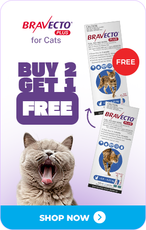 Bravecto Plus