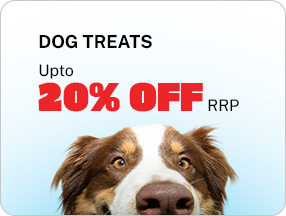 Dog Treat